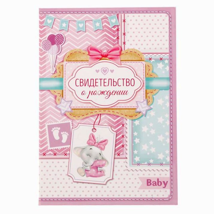 Папка для свидетельства о рождении девочки «Мои первые документы», под новый формат, А5 артикул анонс 1717600