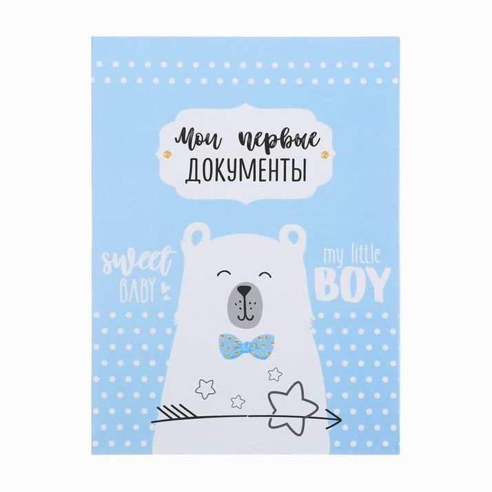 Папка для свидетельства о рождении для мальчика «Мишка», А4 артикул анонс 3815387