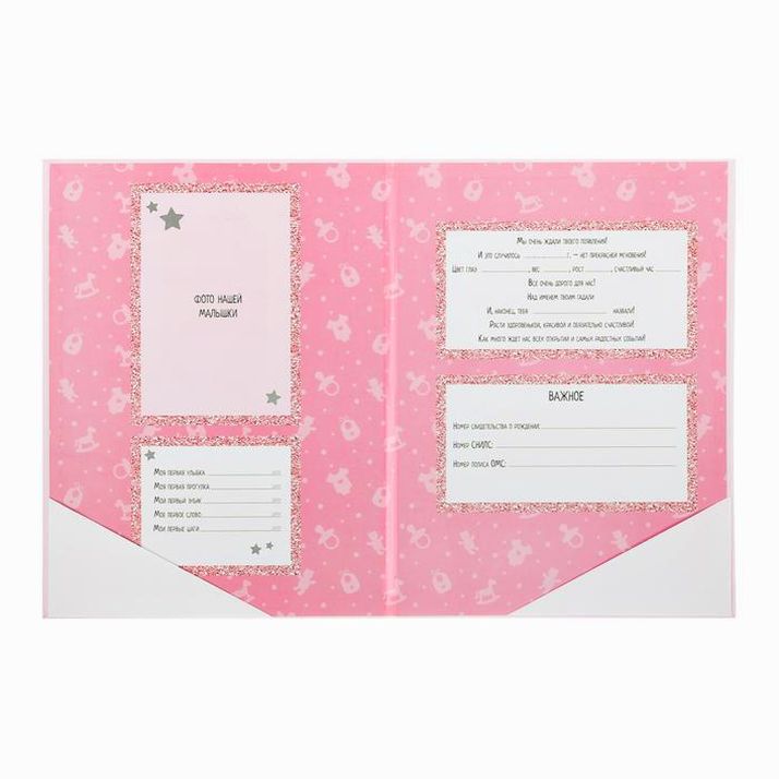 № 3880122 Папка для свидетельства о рождении с уголками «Мои первые документы», для девочки, А4