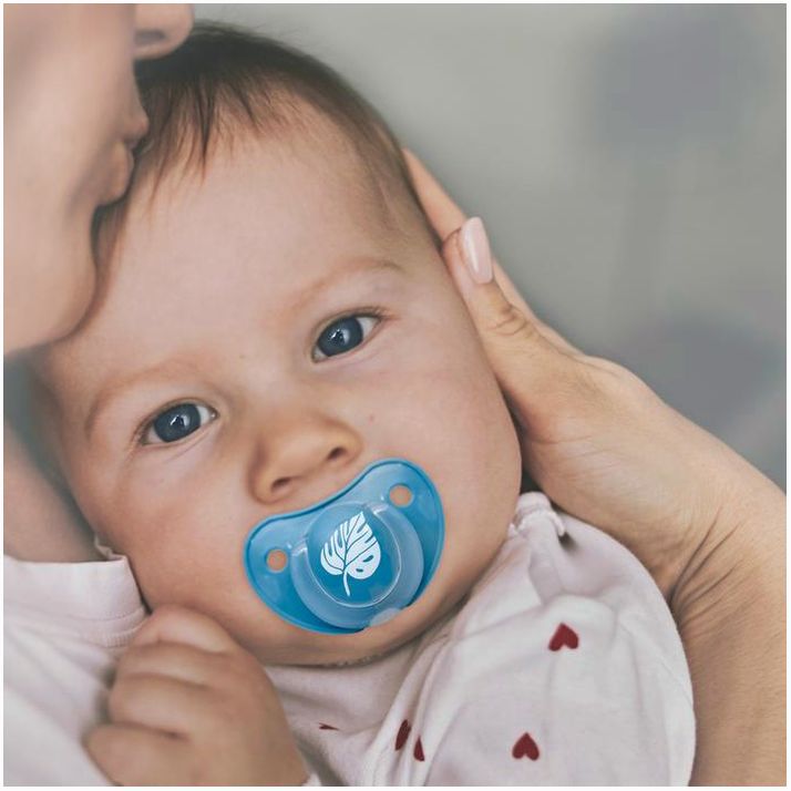 Картинка Соска - пустышка классическая, латекс, +3мес., «Листочек» (№9112928) от магазина Мир детей Товары для Новорожденных