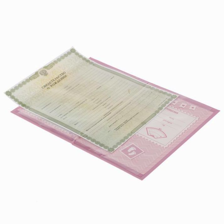 Картинка Папка для свидетельства о рождении девочки «Мои первые документы», под новый формат, А5 (№1717600) от магазина Мир детей Товары для Новорожденных