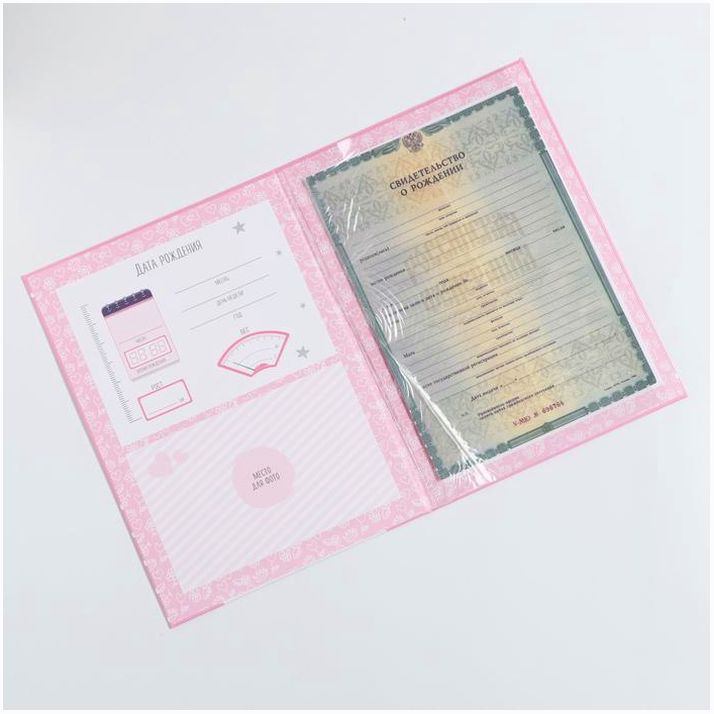 Картинка Папка для свидетельства о рождении для девочки «Мишка», А4 (№3815388) от магазина Мир детей Товары для Новорожденных