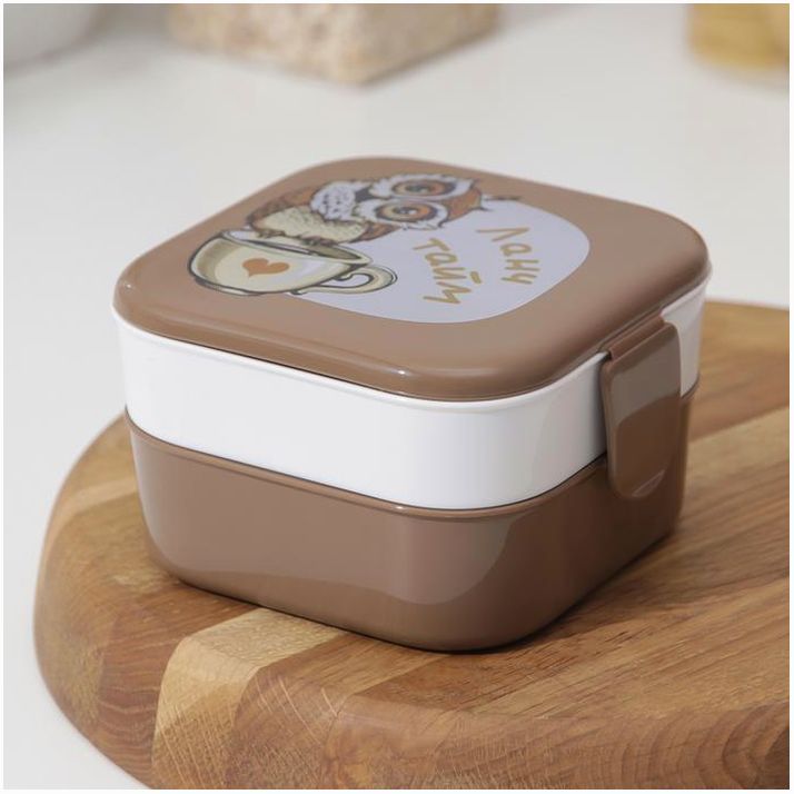 Контейнер для обеда IDEA «Совы», 2 отделения, 400 мл артикул анонс 3749765