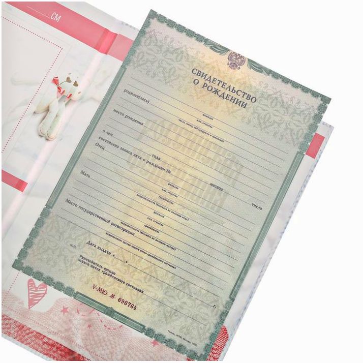 Картинка Папка для свидетельства о рождении «Скетч», для девочки, А4 (№3511759) от магазина Мир детей Товары для Новорожденных