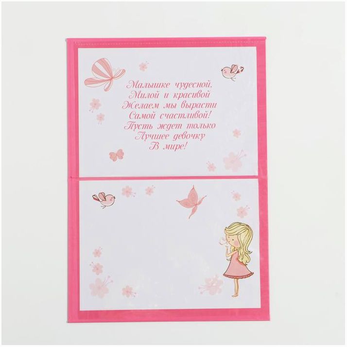 Картинка Папка для свидетельства о рождении «Коллаж», для девочки, А5 (№1204839) от магазина Мир детей Товары для Новорожденных