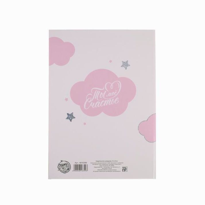 Картинка Папка для свидетельства о рождении «Малышка», А5 (№4816399) от магазина Мир детей Товары для Новорожденных