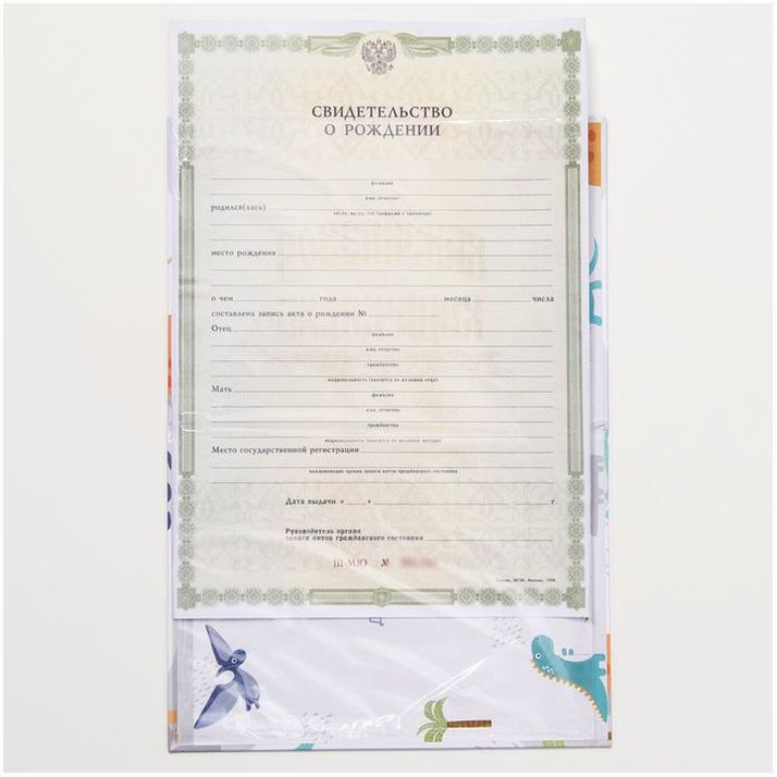 Картинка Папка для свидетельства о рождении «Динозаврики»,А5 (№4004642) от магазина Мир детей Товары для Новорожденных