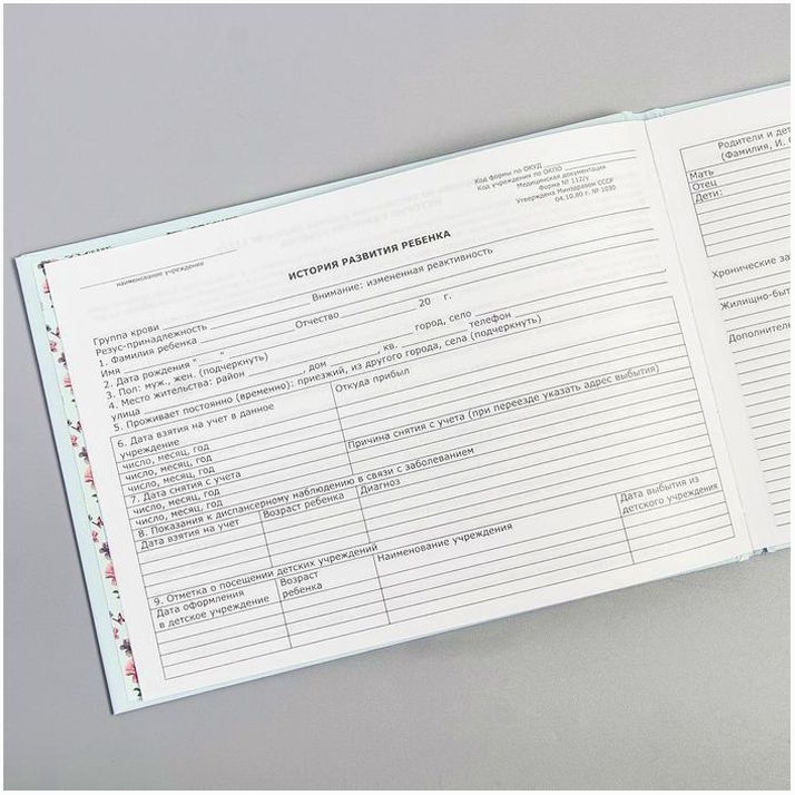 Картинка Медицинская карта «История развития ребёнка», Бемби, 40 листов (№4717659) от магазина Мир детей Товары для Новорожденных
