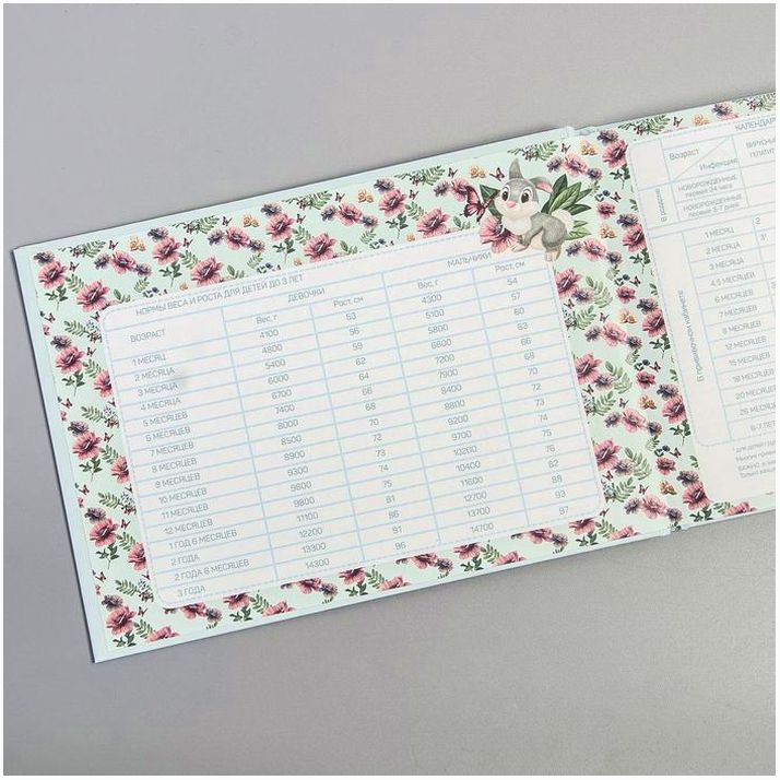 № 4717659 Медицинская карта «История развития ребёнка», Бемби, 40 листов