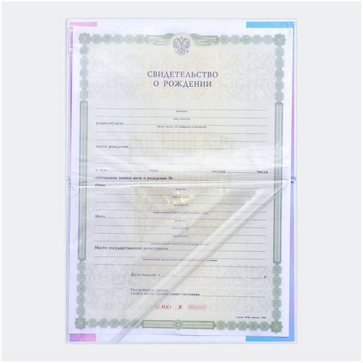 Картинка Папка для свидетельства о рождении «Мать и дитя», А5 (№4004639) от магазина Мир детей Товары для Новорожденных