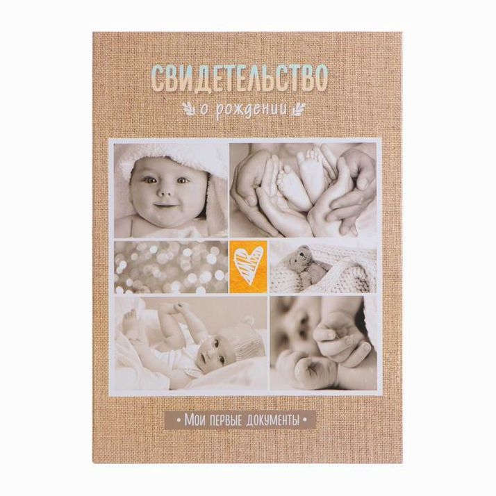 Папка для свидетельства о рождении «Мои первые документы», А4 артикул анонс 3511757