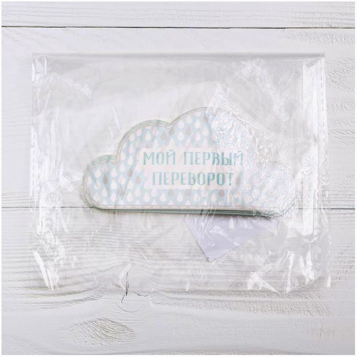 № 4773826 Наклейки для фотографирования «Ежик голубой»