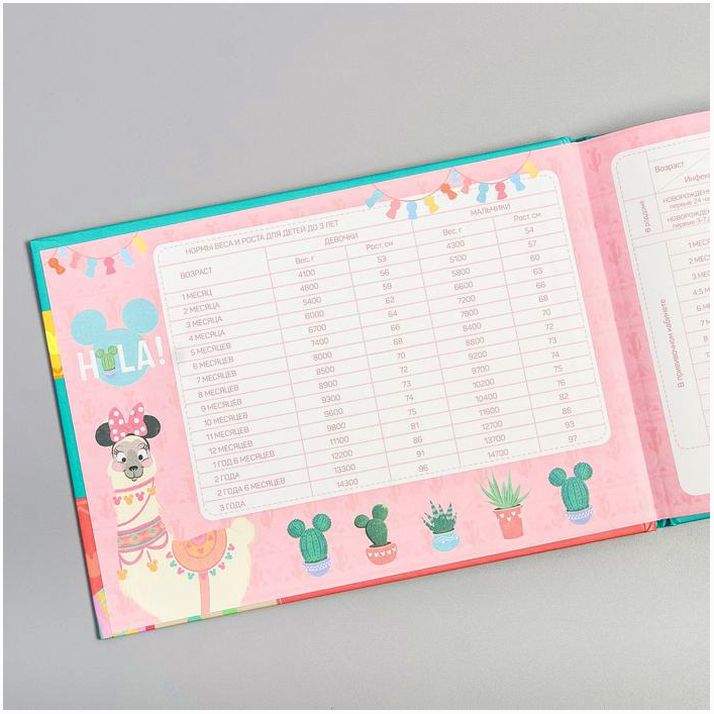 № 4717663 Медицинская карта «История развития ребёнка», Минни Маус, 40 листов