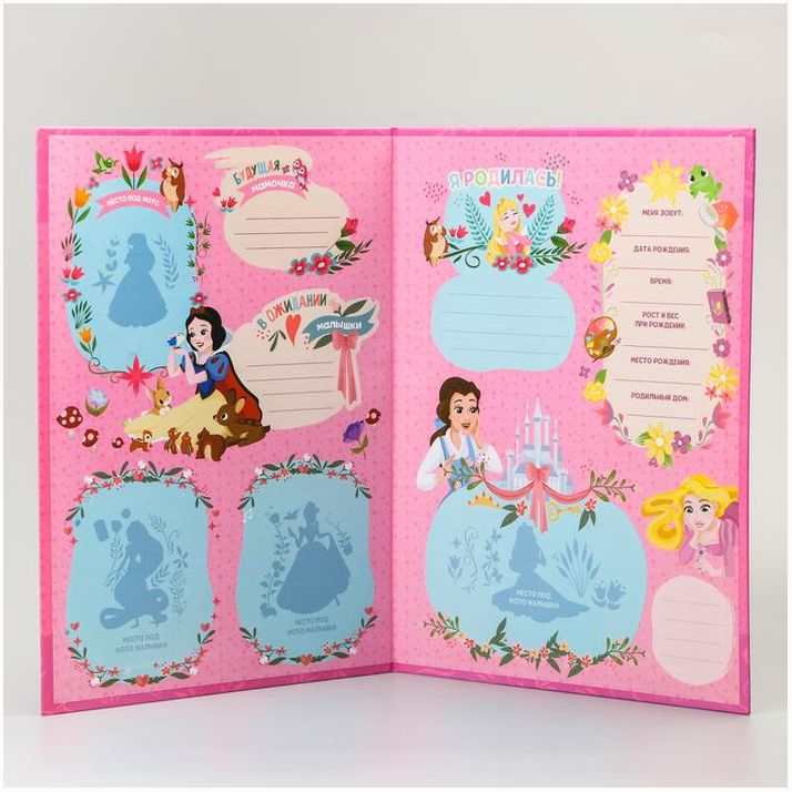 Картинка Обложка для документов, Принцессы (№3573456) от магазина Мир детей Товары для Новорожденных