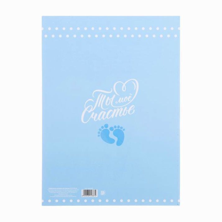 Картинка Папка для свидетельства о рождении для мальчика «Мишка», А4 (№3815387) от магазина Мир детей Товары для Новорожденных