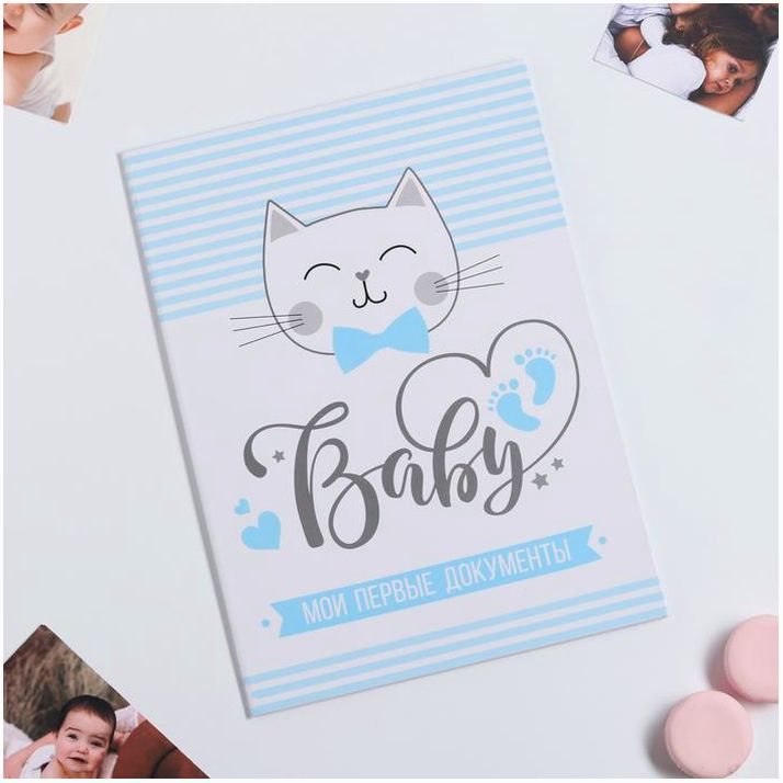 Папка для свидетельства о рождении для мальчика «Кошечка», А4 артикул анонс 3815392