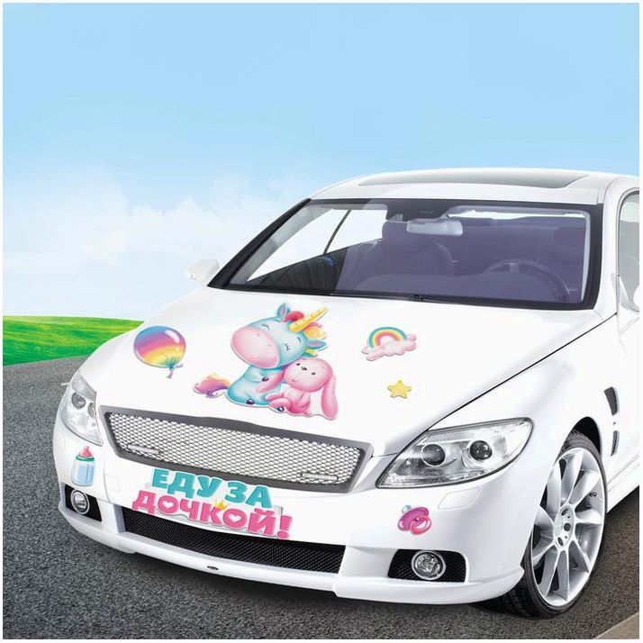 № 4422330 Набор магнитов на авто 